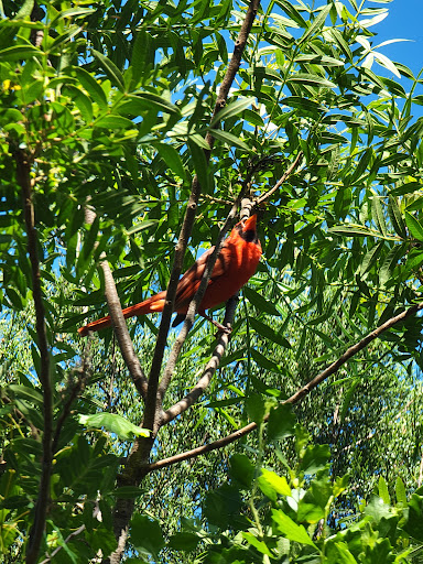 Nature Preserve «Perico Preserve», reviews and photos, 11700 Manatee Ave W, Bradenton, FL 34209, USA