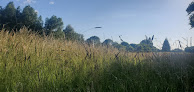 Sentier Des Sources Bavay