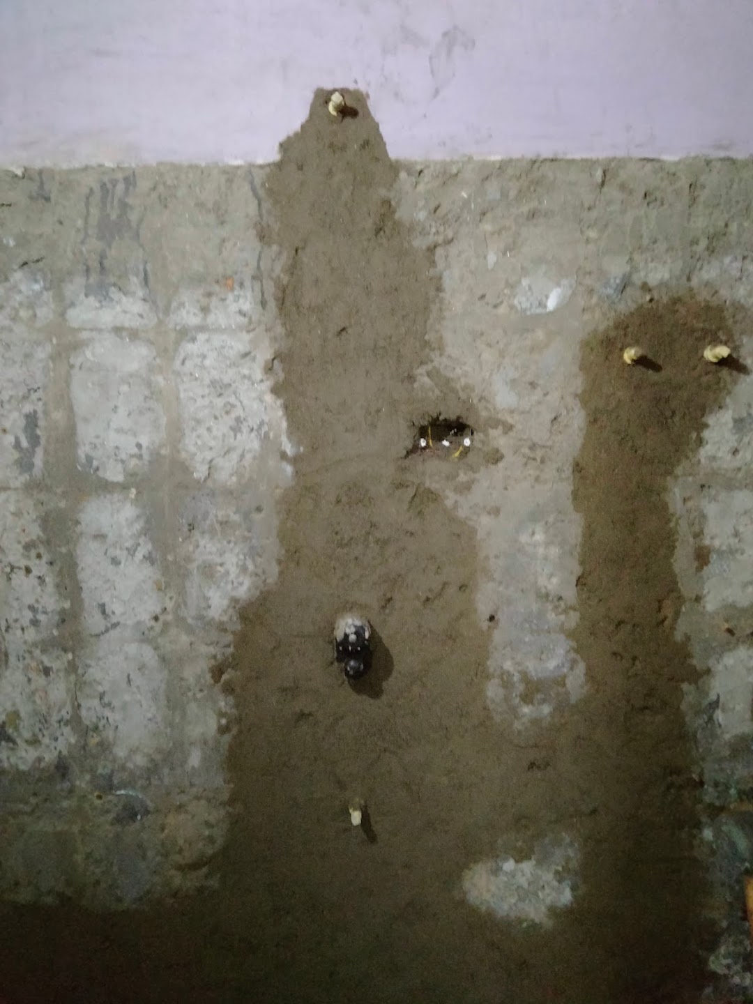 Sonu kumar 843
