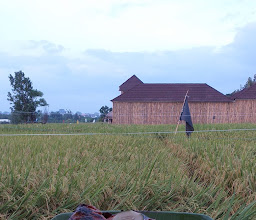 Warung Ikan Bakar Ala Jimbaran photo