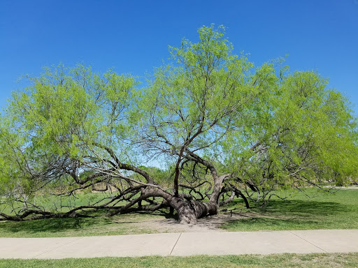 National Park «San Antonio Missions National Historical Park», reviews and photos, 6701 San Jose Dr, San Antonio, TX 78214, USA