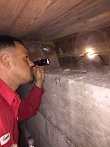 Pest Control Service «Reynolds Pest Management, Inc.», reviews and photos