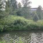 Photo n°3 de l'avis de Jeyzillaa. fait le 25/06/2023 à 06:22 sur le  Landgasthof Seemer à Eslohe