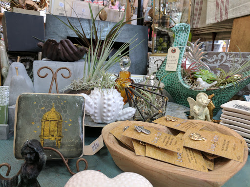 Gift Shop «Austin Gift Company», reviews and photos, 4211 S Lamar Blvd, Austin, TX 78704, USA