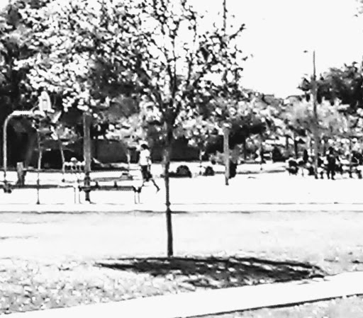 Park «Jaycee Park», reviews and photos, 817 W 5th St, Tempe, AZ 85281, USA