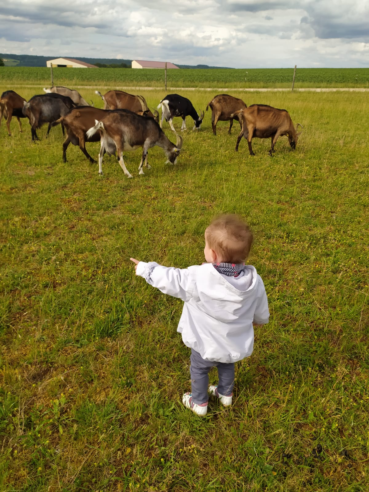 Photo n° 1 de l'avis de Jonathan.a fait le 16/06/2020 à 09:55