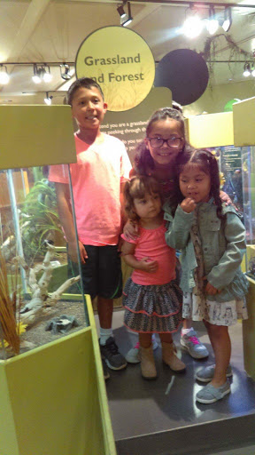 Movie Theater «Cinemark East Montana and XD», reviews and photos, 12704 Montana Ave, El Paso, TX 79938, USA