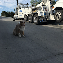 Roy's Towing - Photo 4 - Car repair in Thousand Oaks, CA, Thousand Oaks