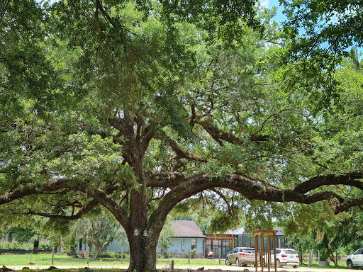 Winery «Whispering Oaks Winery», reviews and photos, 10934 County Rd 475, Oxford, FL 34484, USA