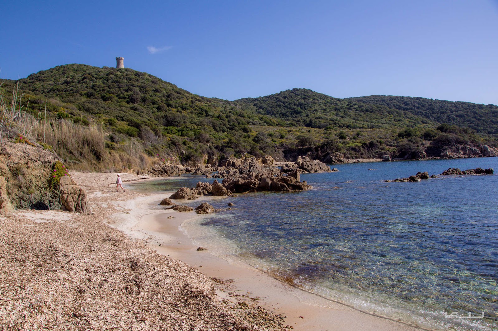 Capanella beach'in fotoğrafı turkuaz saf su yüzey ile