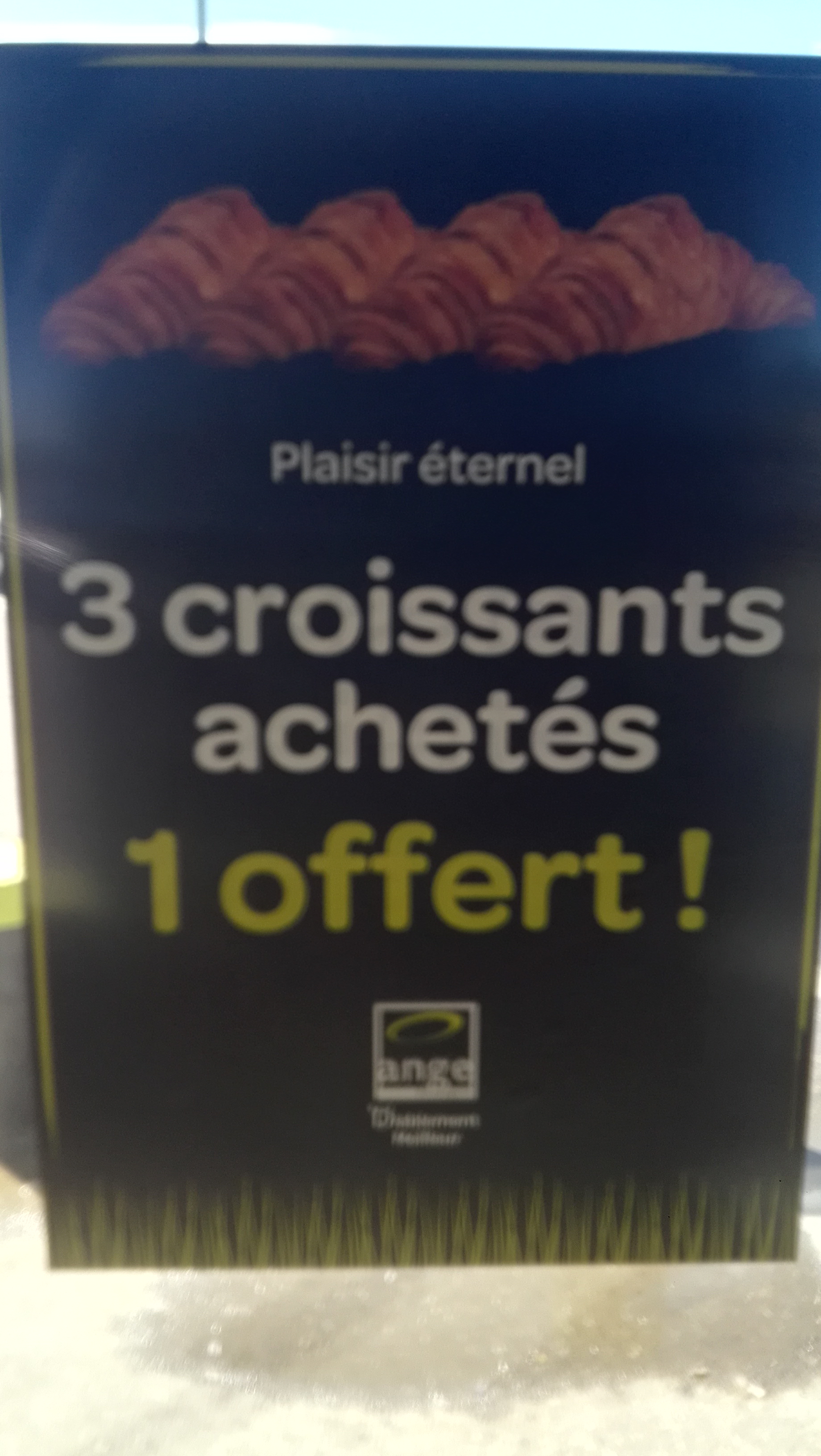 Photo n° 6 de l'avis de Caille. fait le 15/08/2019 à 11:45