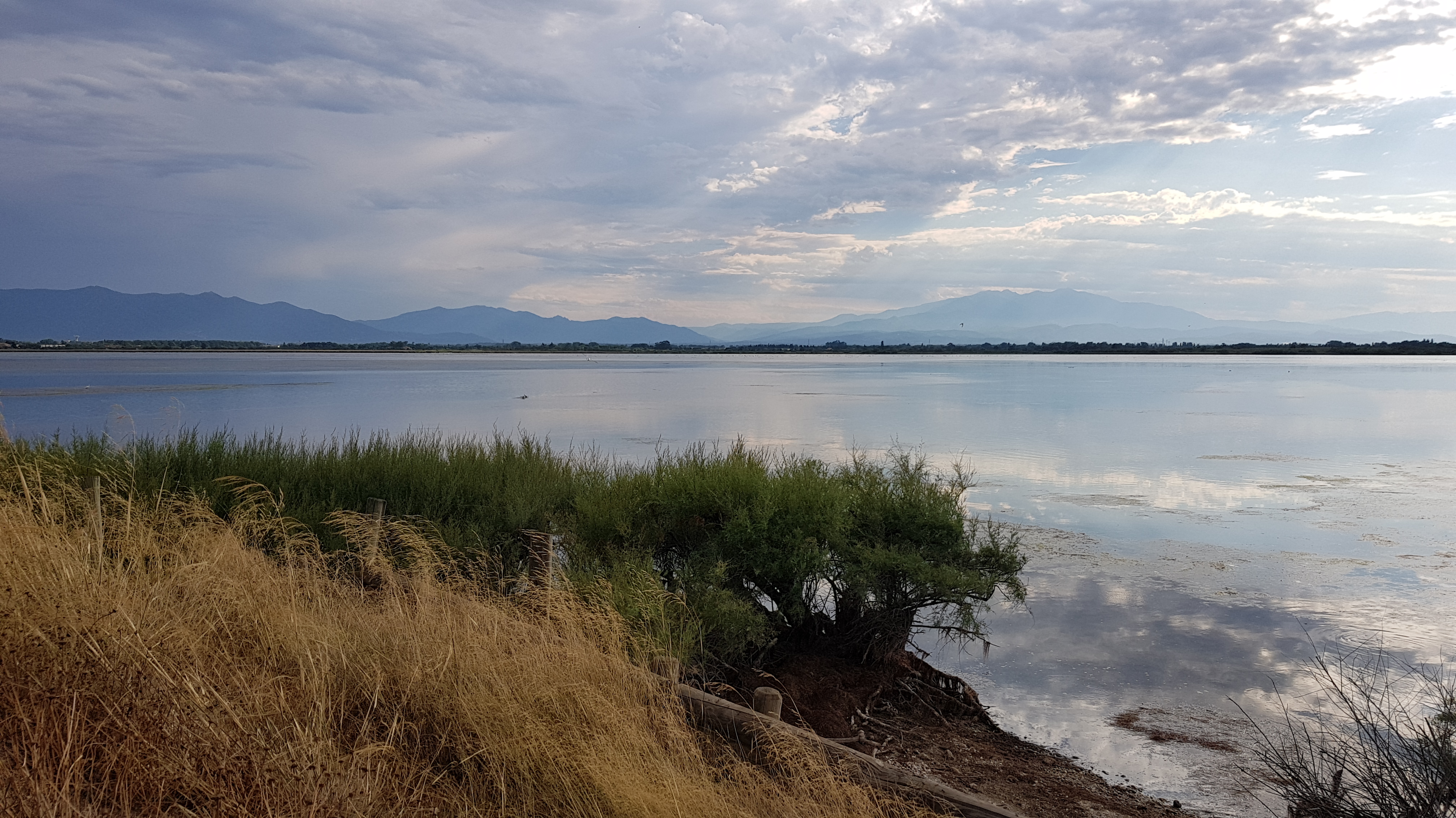 Photo n° 6 de l'avis de MJ.c fait le 18/08/2018 à 20:40