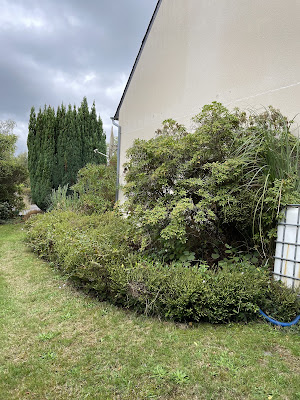 Jardin 29 à Brest