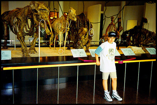 Gift Shop «The Museum Shop - American Museum of Natural History», reviews and photos, 200 Central Park West, New York, NY 10024, USA