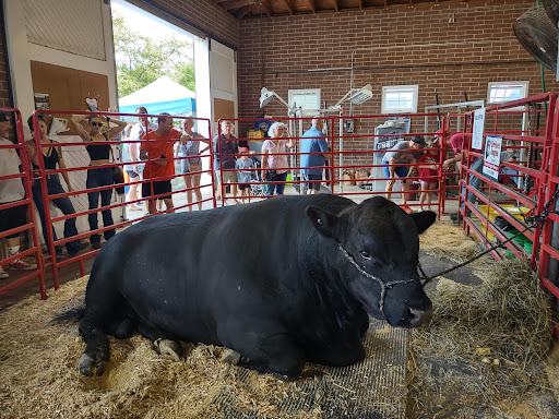 Fairground «Iowa State Fairgrounds», reviews and photos, E University Ave & E 30th St, Des Moines, IA 50317, USA