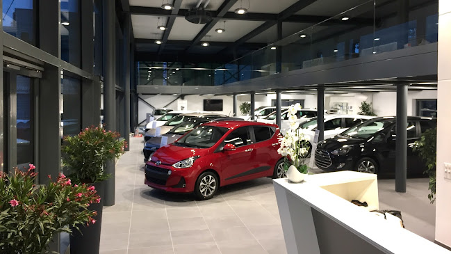 Rezensionen über Alcardis Automobile AG in Bern - Autohändler