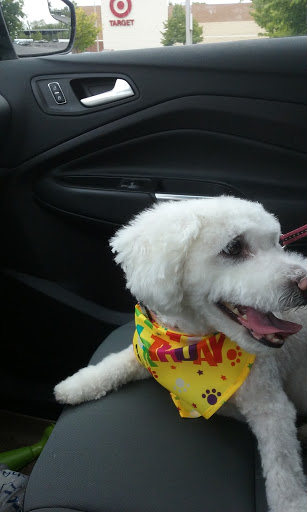 Pet Supply Store «PetSmart», reviews and photos, 620 N West End Blvd, Quakertown, PA 18951, USA