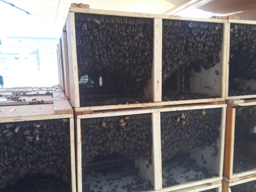 Animal Feed Store «Wardle Feed and Pet Supply», reviews and photos, 7610 3 Acre Ln, Wheat Ridge, CO 80033, USA