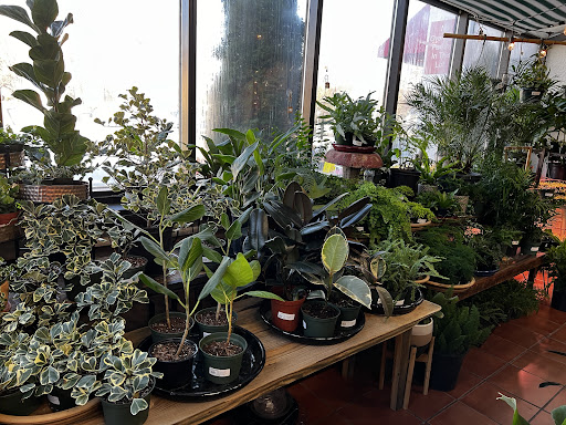 Hardware Store «Intown Ace Hardware», reviews and photos, 854 North Highland Avenue Northeast, Atlanta, GA 30306, USA