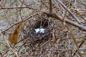 Vermilion River Reservation - photo 78