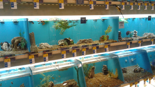 Pet Supply Store «PetSmart», reviews and photos, 860 NE Mall Blvd, Hurst, TX 76053, USA