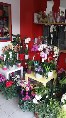 Brindille Fleurs à Mallemort