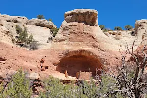 Canyons of the Ancients National Monument image