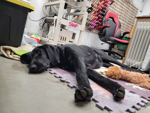 BrightSide Animal Center