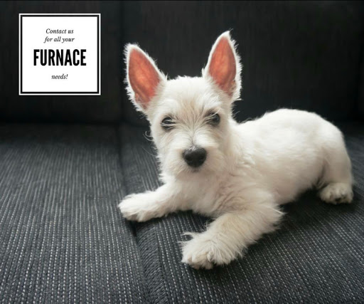 Air Conditioning Contractor «AC Pros», reviews and photos