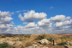 Shoham Forest Park image