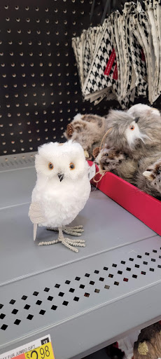 Shopping Mall «The Shops At Ledgewood Commons», reviews and photos, 461 NJ-10, Ledgewood, NJ 07852, USA