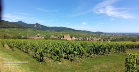 WineWeinVinoVin wine tours to Alsace