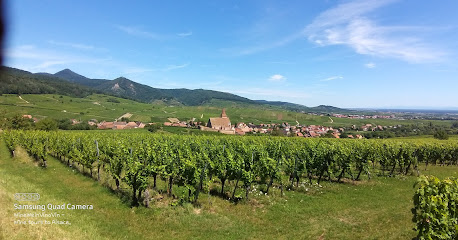WineWeinVinoVin wine tours to Alsace