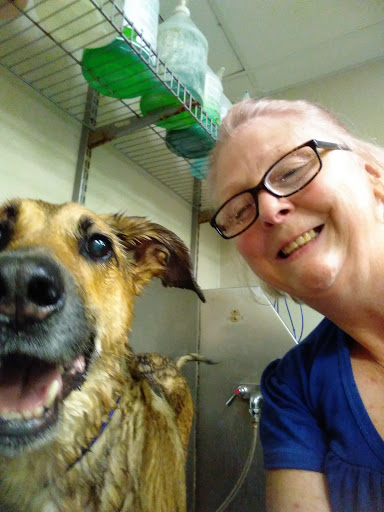 Pet Supply Store «IncrediPet», reviews and photos, 306 Southland Dr, Lexington, KY 40503, USA