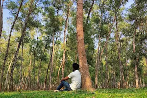 Mithapukur Ecopark image