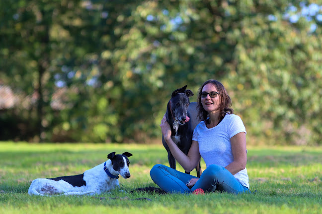 Reviews of Luminous Dog Behaviour & Training in Bristol - Dog trainer