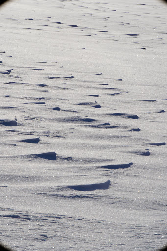 Park «French Regional Park», reviews and photos, 12605 Rockford Rd, Plymouth, MN 55441, USA