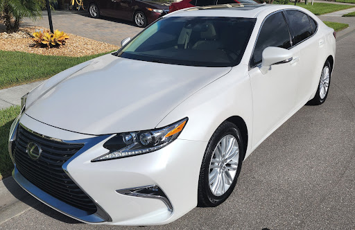 Used Car Dealer «Fitzgerald Used Car Outlet Center Clearwater», reviews and photos, 23499 US Hwy 19 N, Clearwater, FL 33765, USA