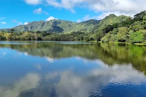 Laguna de San Carlos image