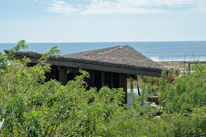 Punta Pájaros Puerto Escondido