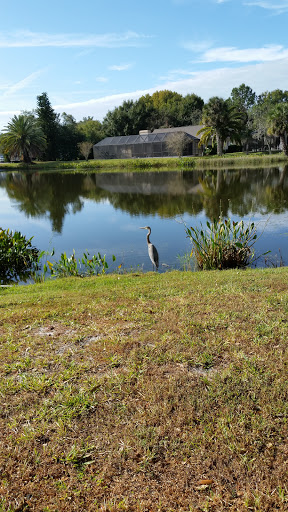 Public Golf Course «Pebble Creek Golf Club - Award Winning Tampa Golf Courses», reviews and photos, 10550 Regents Park Dr, Tampa, FL 33647, USA