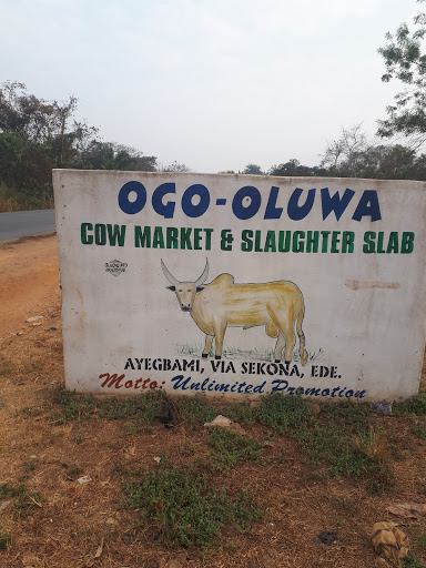 Ogo-Oluwa Cow Market, Nigeria, Seafood Restaurant, state Osun