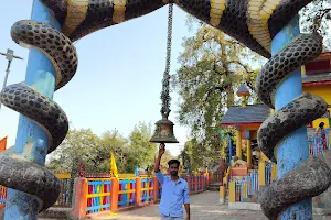 Jai Sem Nagraja Temple, Sem Mukhem image