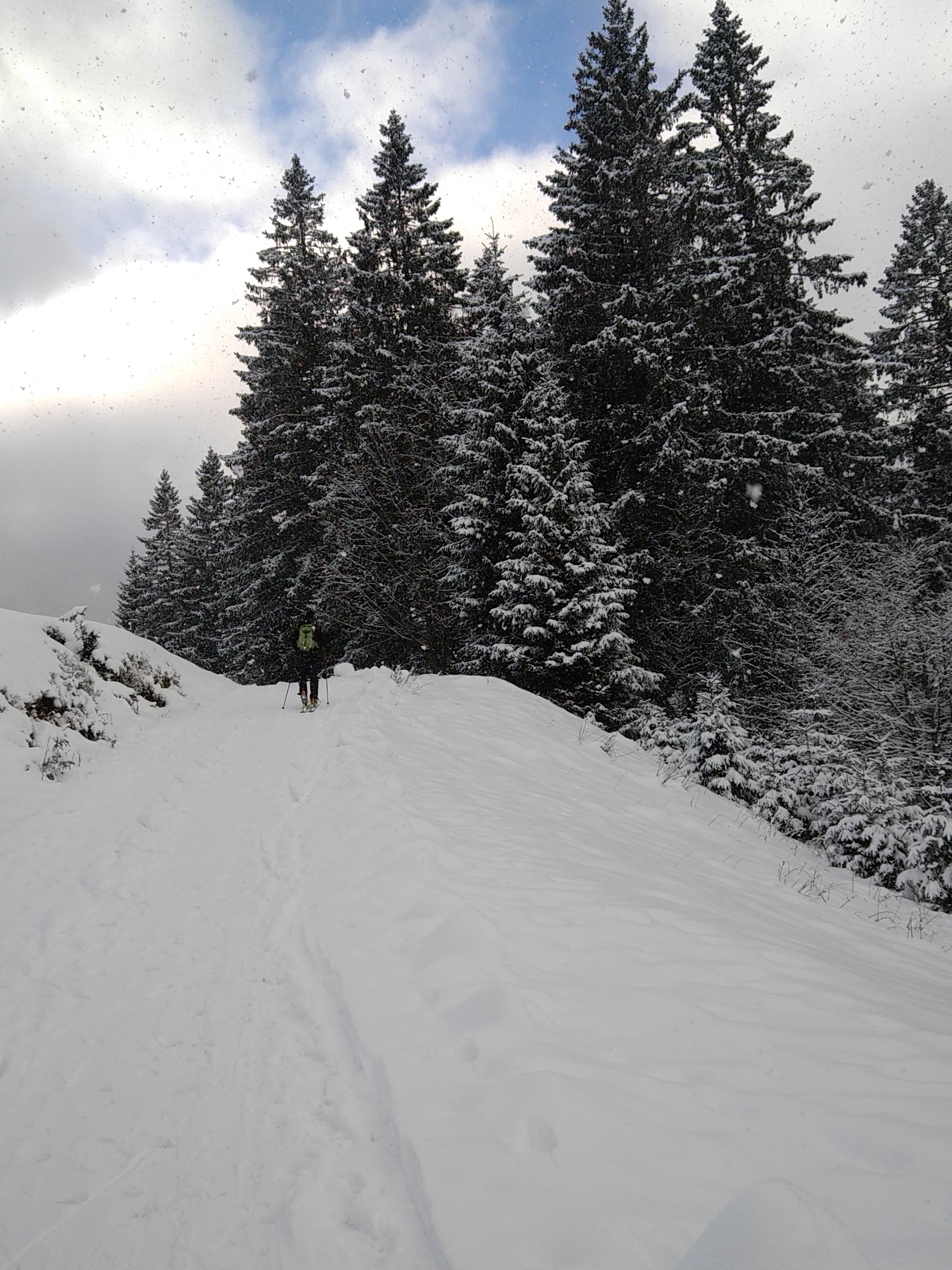 Photo n° 4 de l'avis de Gregoire.n fait le 19/12/2022 à 17:35