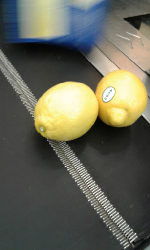 Grocery Store «ShopRite of Bayville», reviews and photos, 431 Atlantic City Blvd, Bayville, NJ 08721, USA