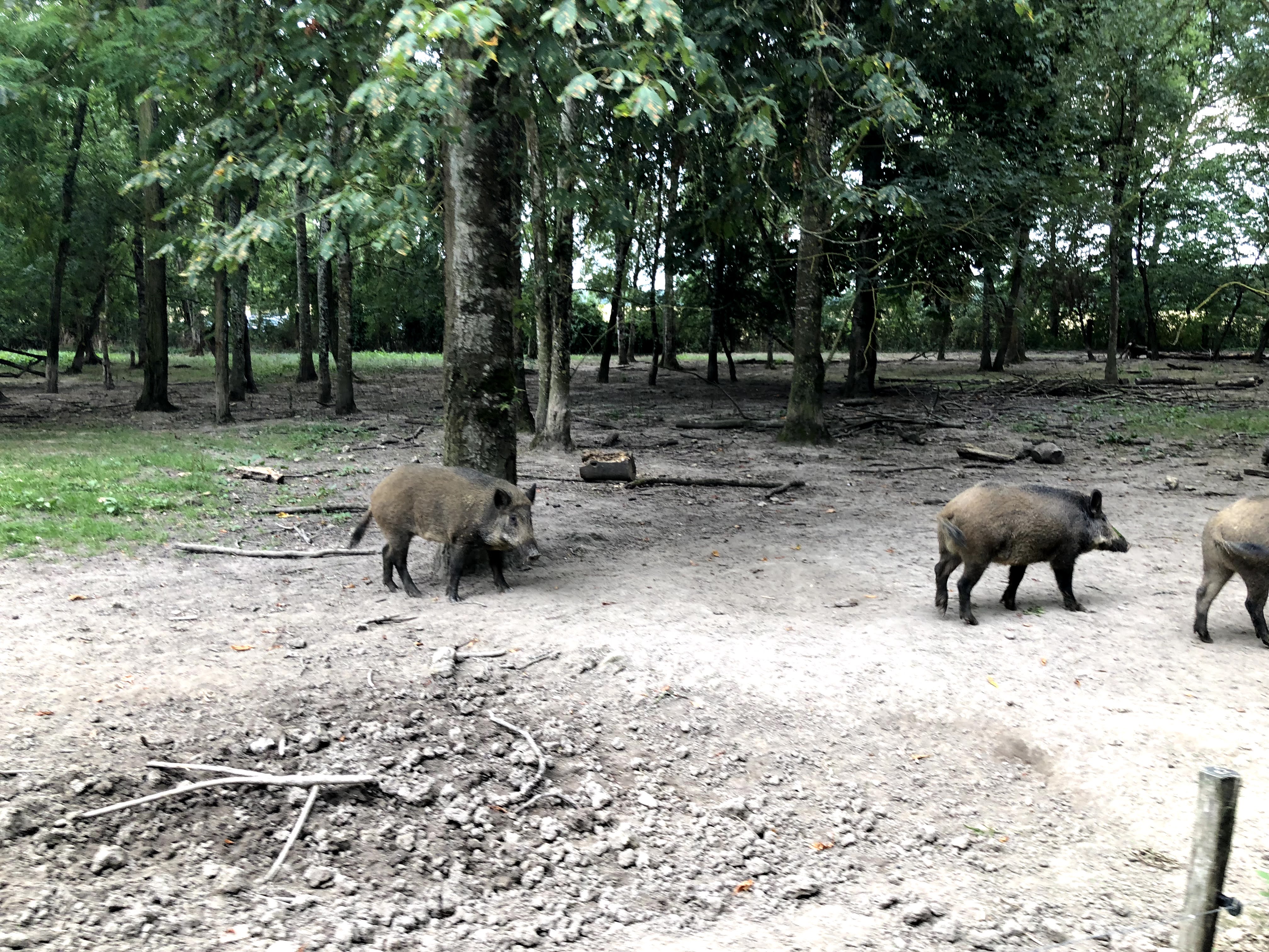 Photo n° 14 de l'avis de Julien.o fait le 27/07/2018 à 17:41