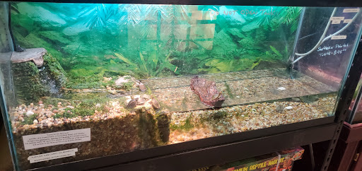 Pet Store «Species Pet Supply», reviews and photos, 1935 W Brandon Blvd, Brandon, FL 33511, USA