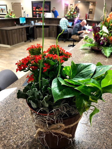 Flower Designer «Windsor Florist», reviews and photos, 201 W Main St, Mesquite, TX 75149, USA