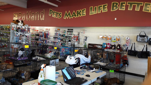 Pet Store «Petland Plano», reviews and photos, 1301 Custer Rd #405, Plano, TX 75075, USA