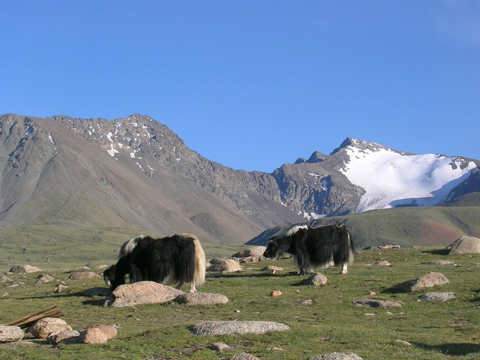 Ulangom, Moğolistan